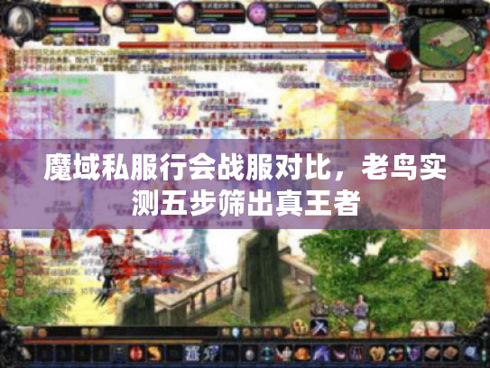 魔域私服行会战服对比，老鸟实测五步筛出真王者