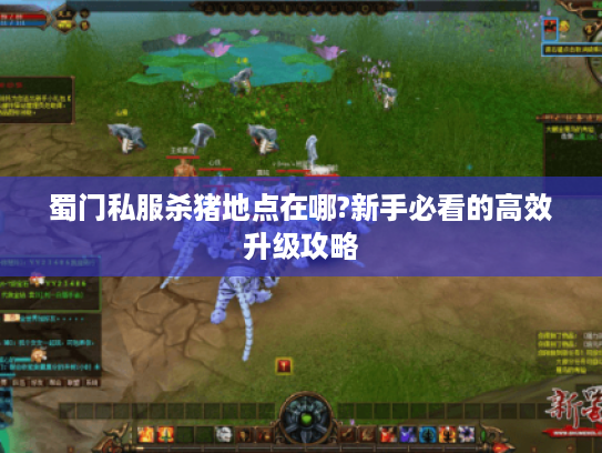 蜀门私服杀猪地点在哪?新手必看的高效升级攻略