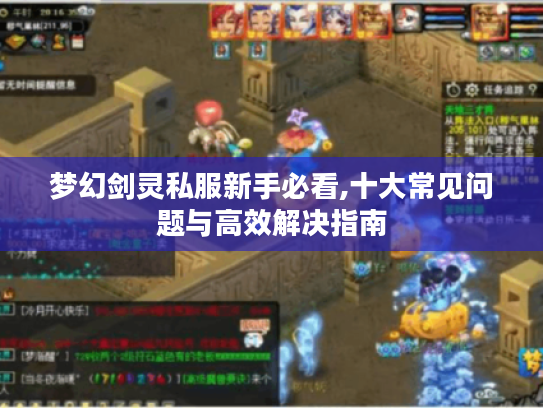 梦幻剑灵私服新手必看,十大常见问题与高效解决指南