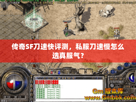 传奇SF刀速快评测，私服刀速慢怎么选真服气？