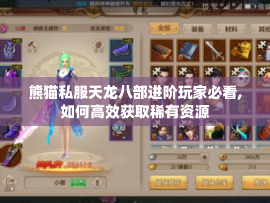 熊猫私服天龙八部进阶玩家必看,如何高效获取稀有资源