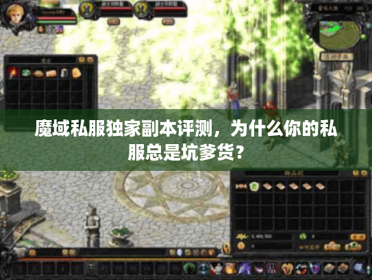 魔域私服独家副本评测，为什么你的私服总是坑爹货？