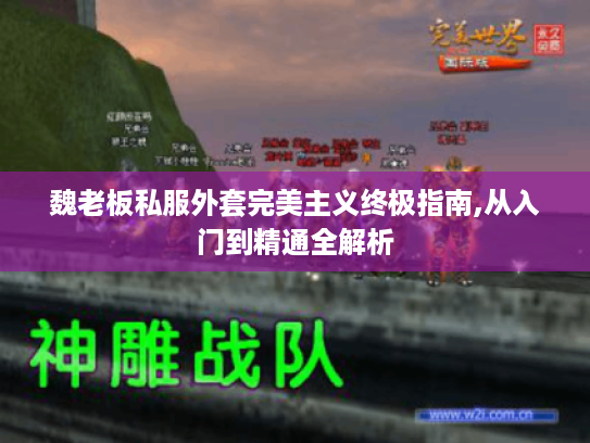 魏老板私服外套完美主义终极指南,从入门到精通全解析