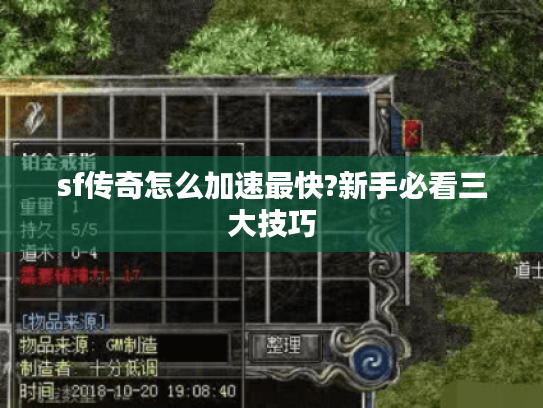 sf传奇怎么加速最快?新手必看三大技巧