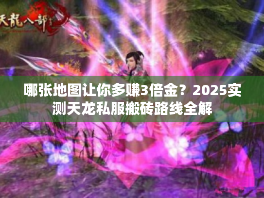 哪张地图让你多赚3倍金？2025实测天龙私服搬砖路线全解