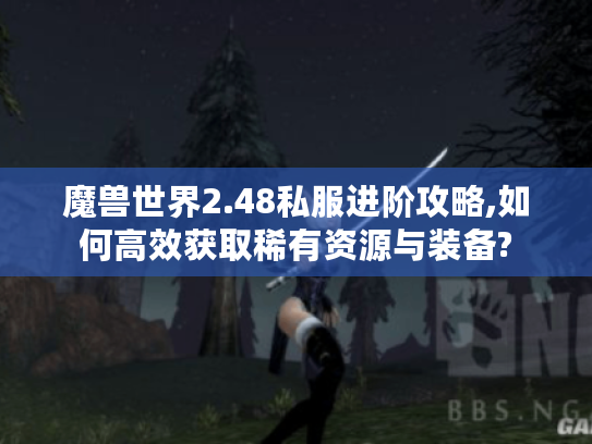 魔兽世界2.48私服进阶攻略,如何高效获取稀有资源与装备?