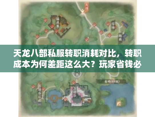 天龙八部私服转职消耗对比，转职成本为何差距这么大？玩家省钱必看策略
