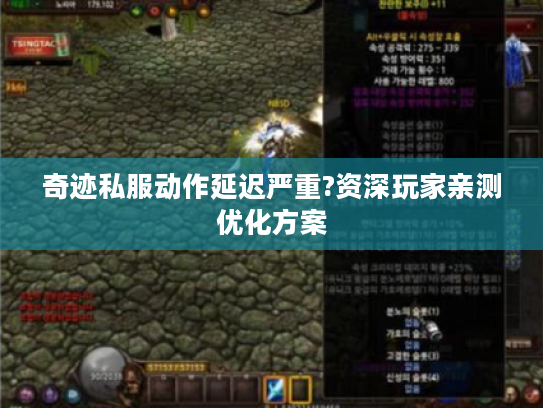 奇迹私服动作延迟严重?资深玩家亲测优化方案