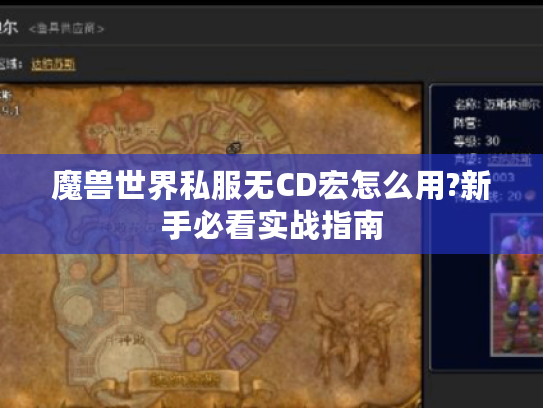 魔兽世界私服无CD宏怎么用?新手必看实战指南