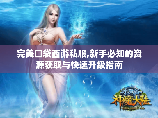 完美口袋西游私服,新手必知的资源获取与快速升级指南