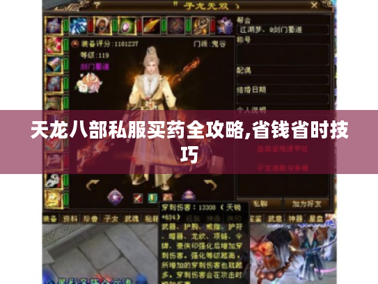 天龙八部私服买药全攻略,省钱省时技巧