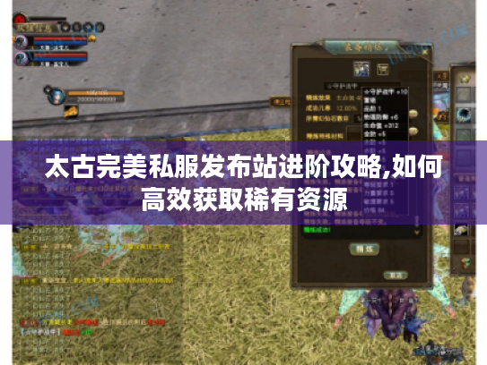 太古完美私服发布站进阶攻略,如何高效获取稀有资源
