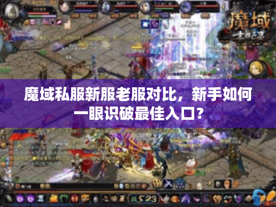魔域私服新服老服对比，新手如何一眼识破最佳入口？