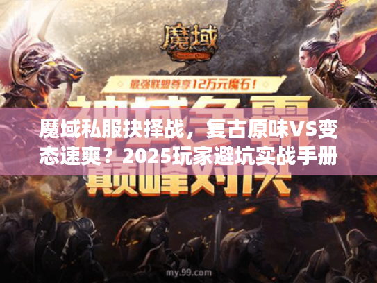 魔域私服抉择战，复古原味VS变态速爽？2025玩家避坑实战手册