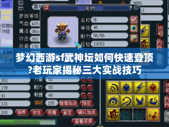 梦幻西游sf武神坛如何快速登顶?老玩家揭秘三大实战技巧