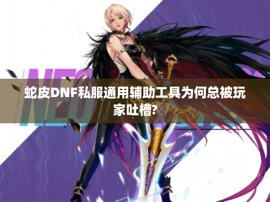 蛇皮DNF私服通用辅助工具为何总被玩家吐槽?