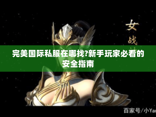 完美国际私服在哪找?新手玩家必看的安全指南