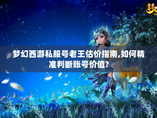 梦幻西游私服号老王估价指南,如何精准判断账号价值?