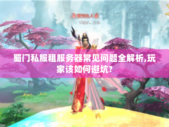 蜀门私服租服务器常见问题全解析,玩家该如何避坑?
