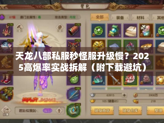 天龙八部私服秒怪服升级慢？2025高爆率实战拆解（附下载避坑）