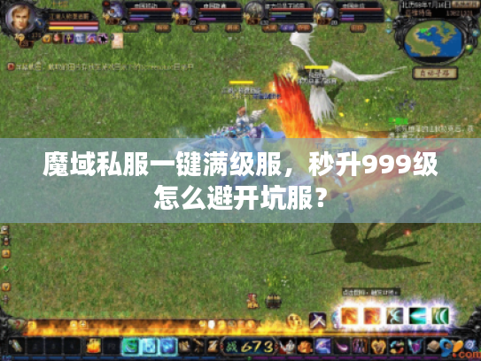 魔域私服一键满级服，秒升999级怎么避开坑服？