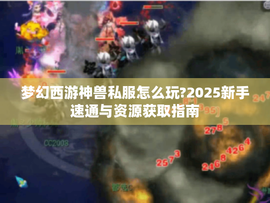 梦幻西游神兽私服怎么玩?2025新手速通与资源获取指南