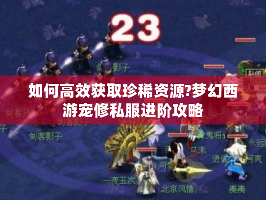 如何高效获取珍稀资源?梦幻西游宠修私服进阶攻略
