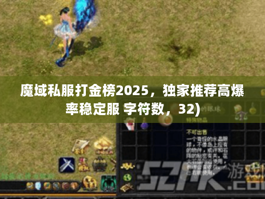 魔域私服打金榜2025，独家推荐高爆率稳定服 字符数，32)