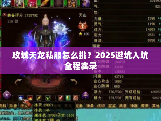 攻城天龙私服怎么挑？2025避坑入坑全程实录