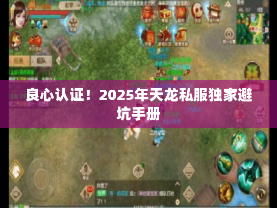 良心认证！2025年天龙私服独家避坑手册