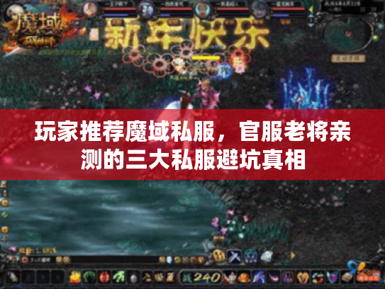 玩家推荐魔域私服，官服老将亲测的三大私服避坑真相