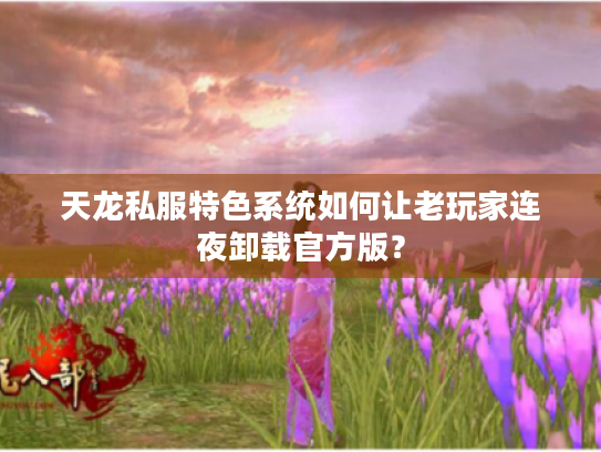 天龙私服特色系统如何让老玩家连夜卸载官方版？