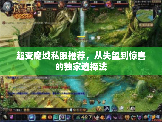超变魔域私服推荐，从失望到惊喜的独家选择法