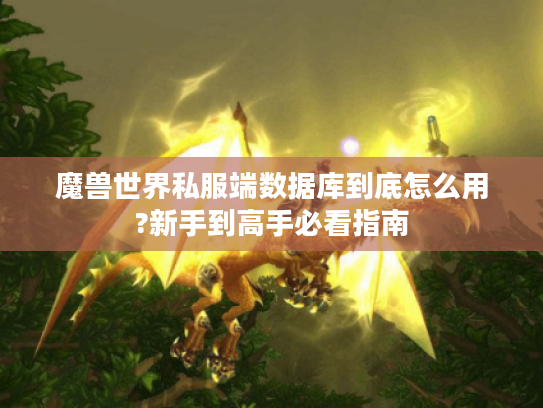 魔兽世界私服端数据库到底怎么用?新手到高手必看指南