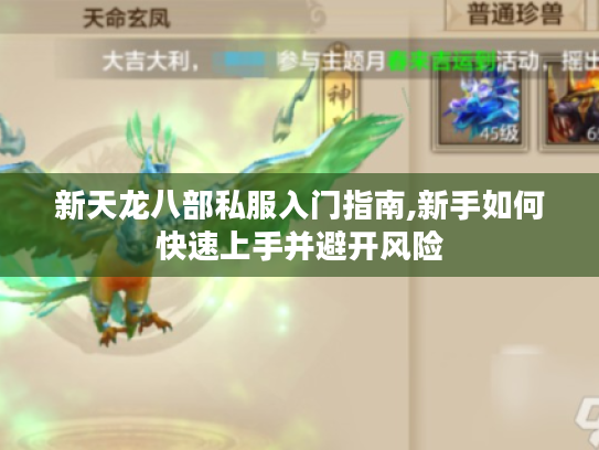 新天龙八部私服入门指南,新手如何快速上手并避开风险