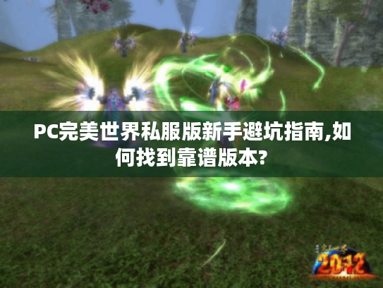 PC完美世界私服版新手避坑指南,如何找到靠谱版本?