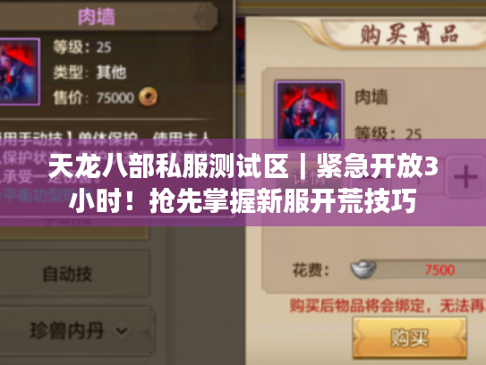 天龙八部私服测试区｜紧急开放3小时！抢先掌握新服开荒技巧