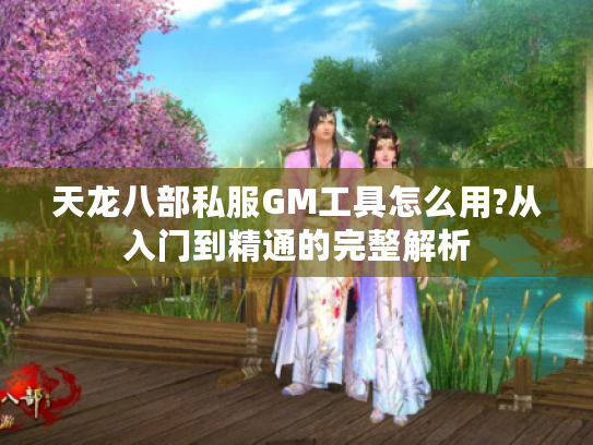 天龙八部私服GM工具怎么用?从入门到精通的完整解析 天龙八部私服GM工具怎么用?从入门到精通的完整解析