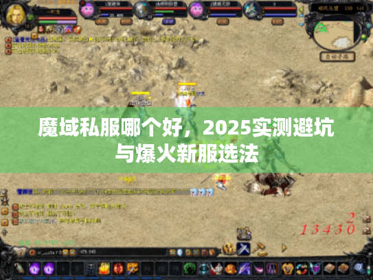 魔域私服哪个好，2025实测避坑与爆火新服选法