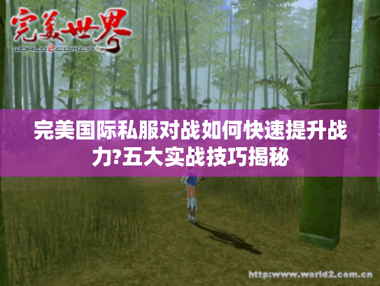 完美国际私服对战如何快速提升战力?五大实战技巧揭秘