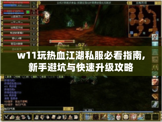 w11玩热血江湖私服必看指南,新手避坑与快速升级攻略
