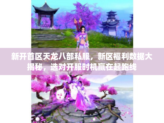 新开首区天龙八部私服，新区福利数据大揭秘，选对开服时机赢在起跑线