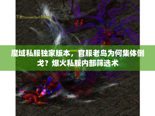 魔域私服独家版本，官服老鸟为何集体倒戈？爆火私服内部筛选术