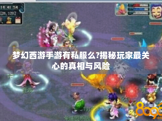 梦幻西游手游有私服么?揭秘玩家最关心的真相与风险