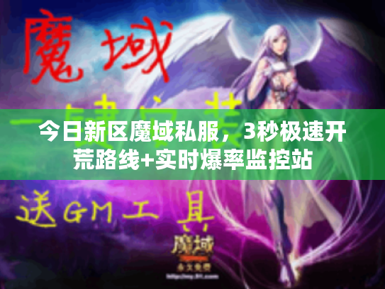 今日新区魔域私服，3秒极速开荒路线+实时爆率监控站