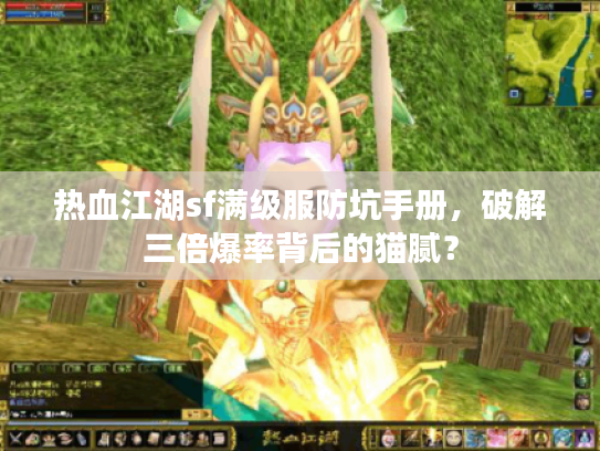 热血江湖sf满级服防坑手册，破解三倍爆率背后的猫腻？