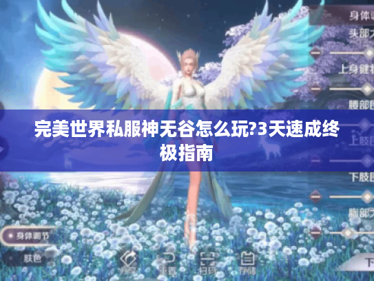 完美世界私服神无谷怎么玩?3天速成终极指南