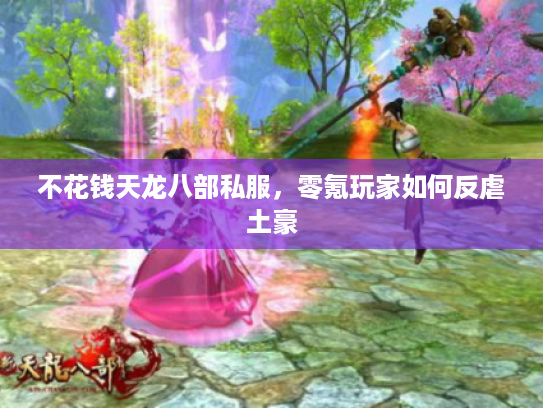 不花钱天龙八部私服，零氪玩家如何反虐土豪