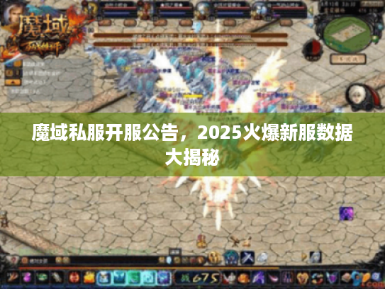 魔域私服开服公告，2025火爆新服数据大揭秘