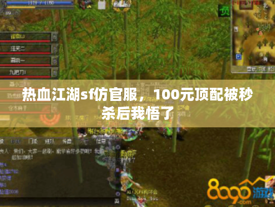 热血江湖sf仿官服,100元顶配被秒杀后我悟了 热血江湖sf仿官服,100元顶配被秒杀后我悟了